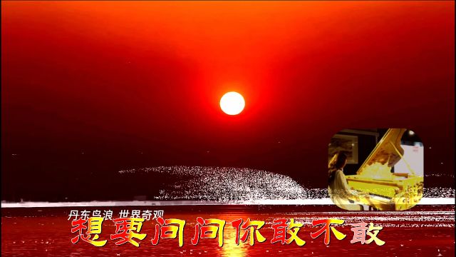 为爱痴狂 夕阳红鸟浪 辛更KTV音乐视频4K制作