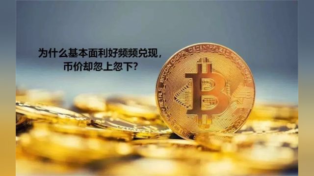 为什么基本面利好频频兑现,币价却忽上忽下?