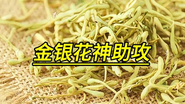 金银花神助攻,我的湿疹治愈实录分享!