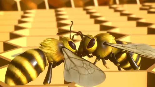蜂蜜是从蜜蜂嘴里一点一点吐出来的