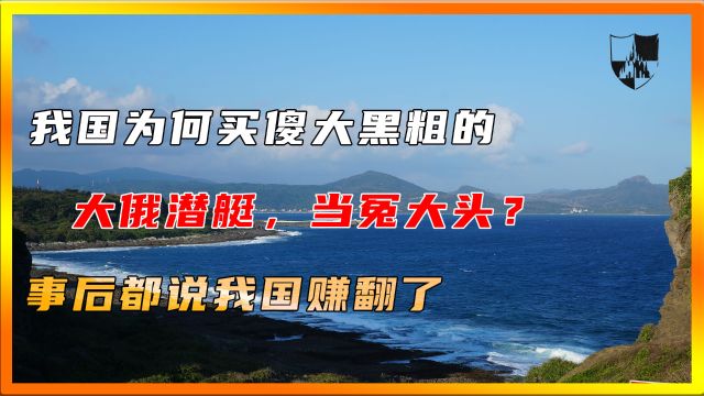 我国为何买傻大黑粗的大俄潜艇,当冤大头?事后都说我国赚翻了