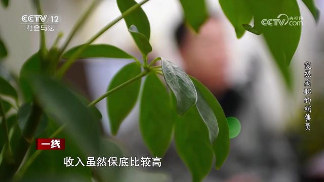 年轻有为家底厚?男子带精锐销售团队入职两月一单未签 工资支取20多万后集体闪辞