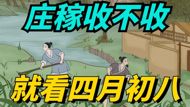 明日四月初八,老话“庄稼收不收,就看四月初八”,什么意思?