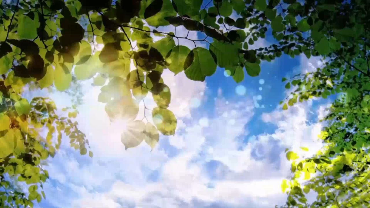 老师群舞你的模样学生舞蹈演出表演节目动态led大屏幕背景视频素材