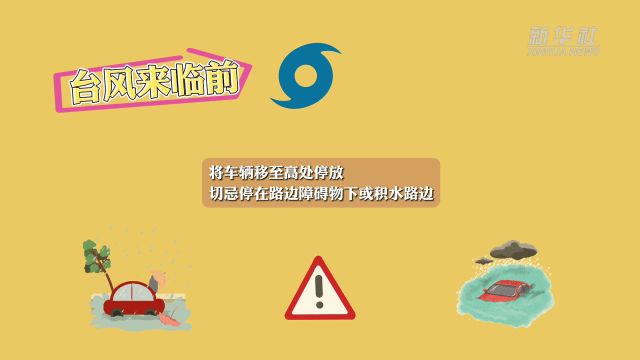 防灾减灾自救知识手册:台风如何应对?