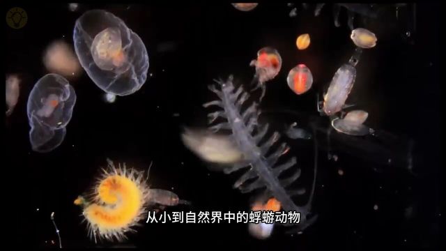 在你眨眼的一瞬间,宇宙发生了哪些变化?