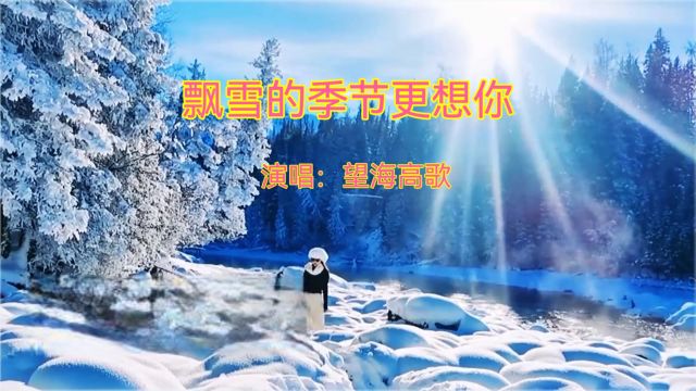 网络情歌《飘雪的季节更想你》