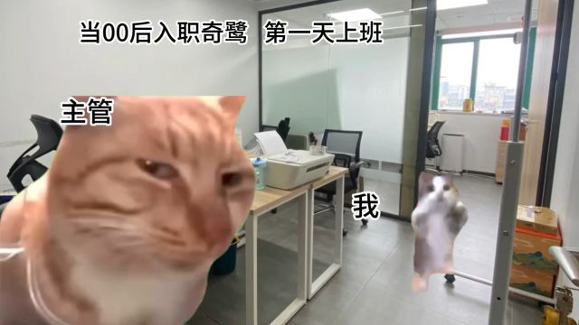 【猫meme】当00后入职第一天上班...