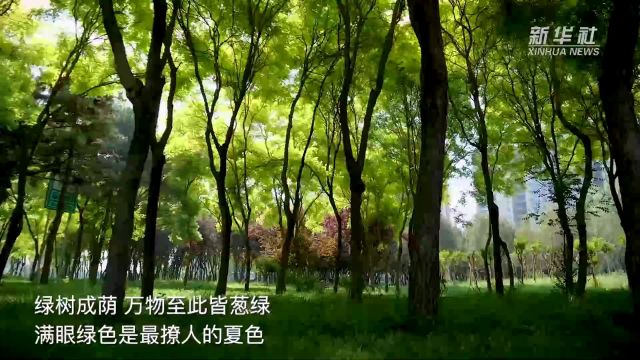 千城胜景|河北栾城:邂逅一抹初夏绿