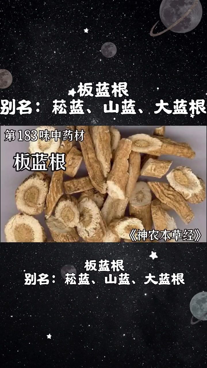 珍医堂板蓝根图片