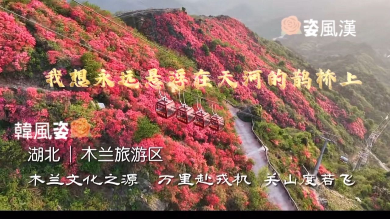 为爱发电"金童玉女宝岛会" 宝岛台湾我们等妳早日归航95