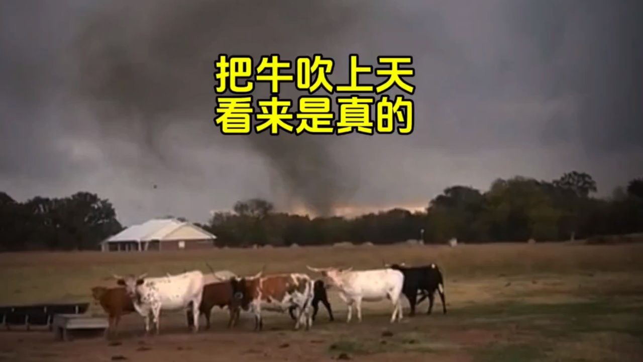 把牛吹上天,看来是真的!