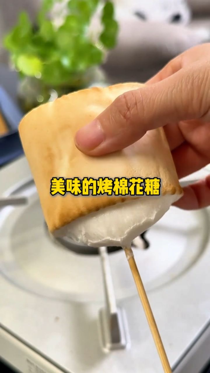美味的烤棉花糖