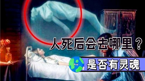 人死后会去哪里?灵魂真的存在吗?科学家的这个观点令人惊讶!_高清1080P在线观看平台_腾讯视频