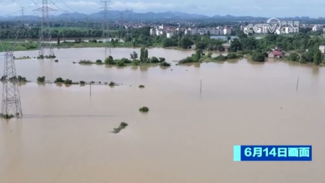 江西抚州遭遇强降雨,河水漫过堤坝,防汛压力持续增大