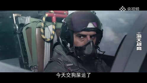 海天雄鹰：谢振宇遇到敌军的王牌空军，实施驱离任务，余涛火速支援