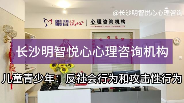 儿童青少年心理:反社会行为和攻击性行为