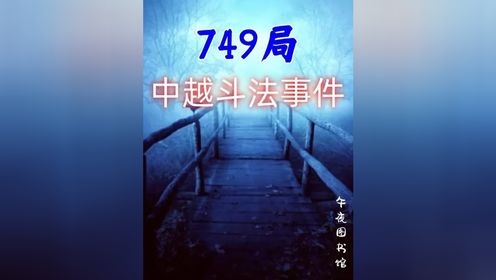 749局中越斗法事件