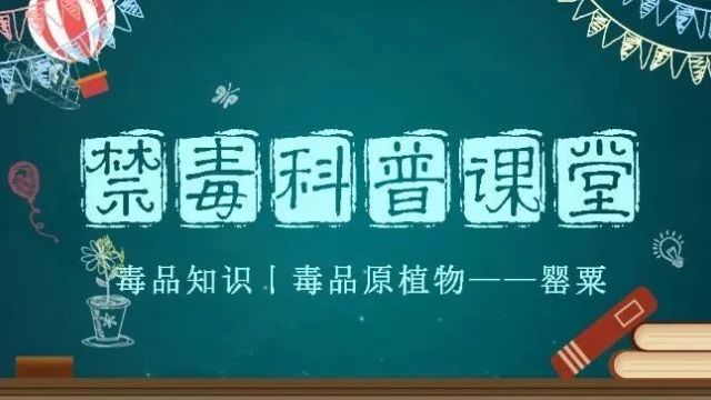 【禁毒科普课堂】禁种铲毒从你我做起 让“罪恶之花”无处绽放!