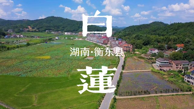 白莲镇,湖南省衡阳市衡东县,湖南2020届湖南省文明村镇.