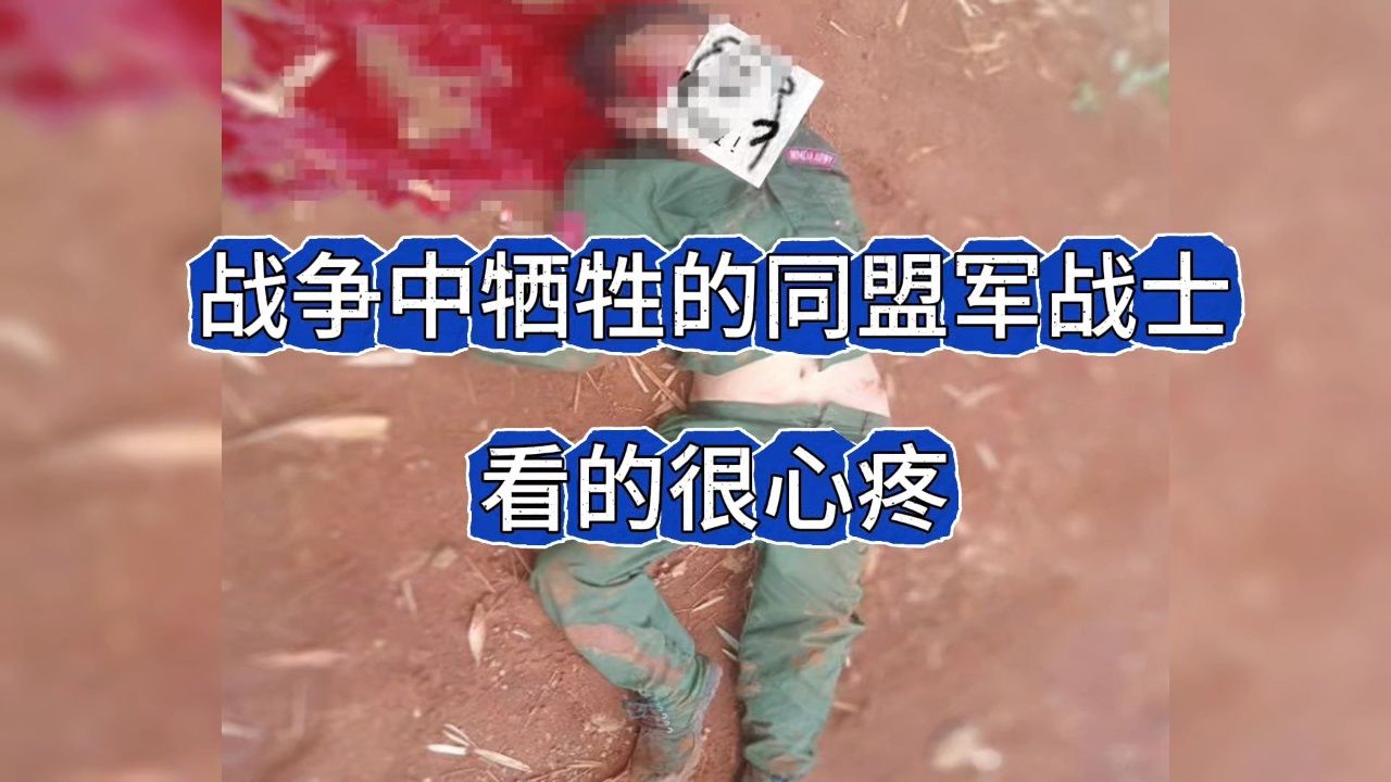 战争中牺牲的同盟军战士,看的很心疼!