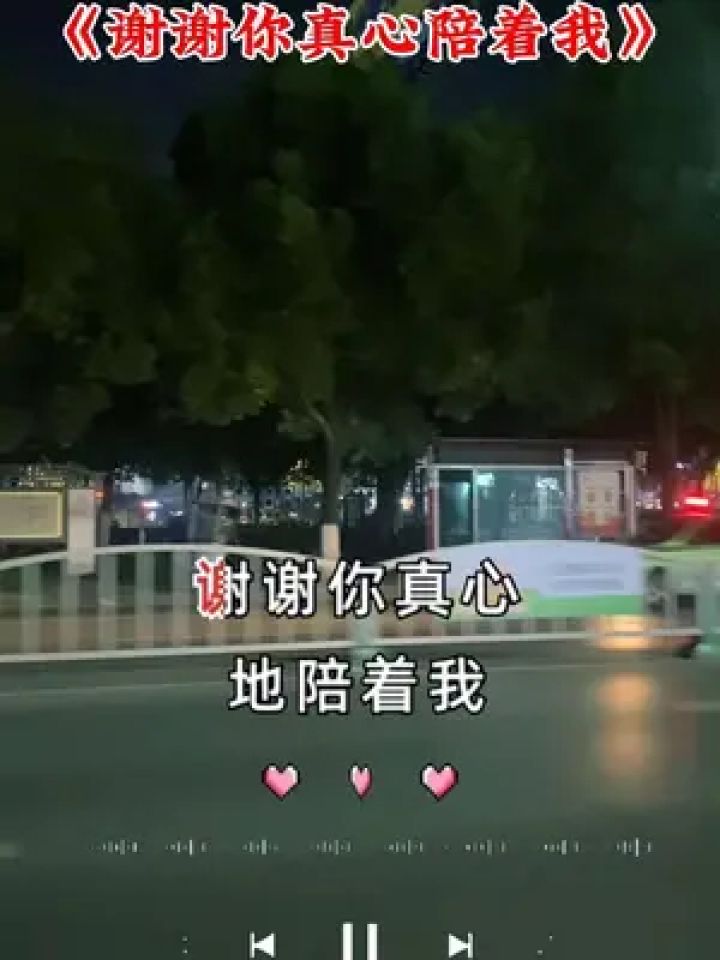 谢谢你真心的陪着我