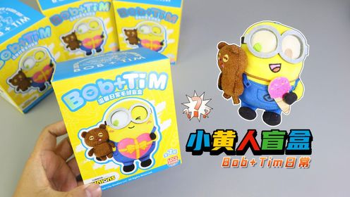 小黄人Tim小熊盲盒玩具开箱,能否拆到特别款?玩偶好呆萌啊!_高清1080P在线观看平台_腾讯视频