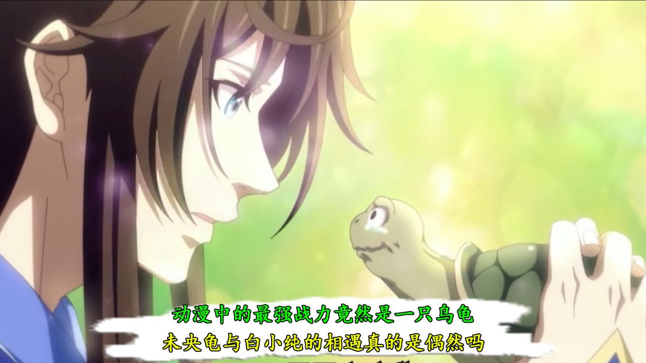 未央龟与白小纯的相遇真的是偶然吗?