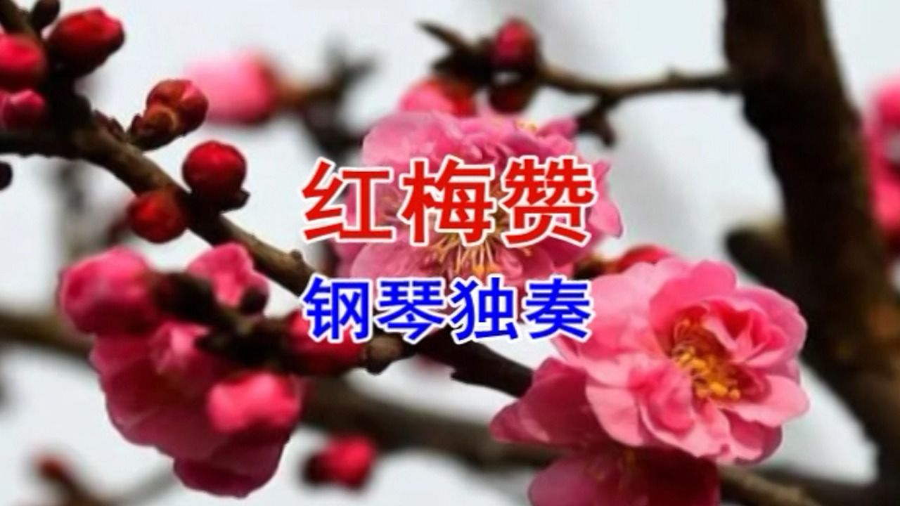红梅赞(钢琴独奏)