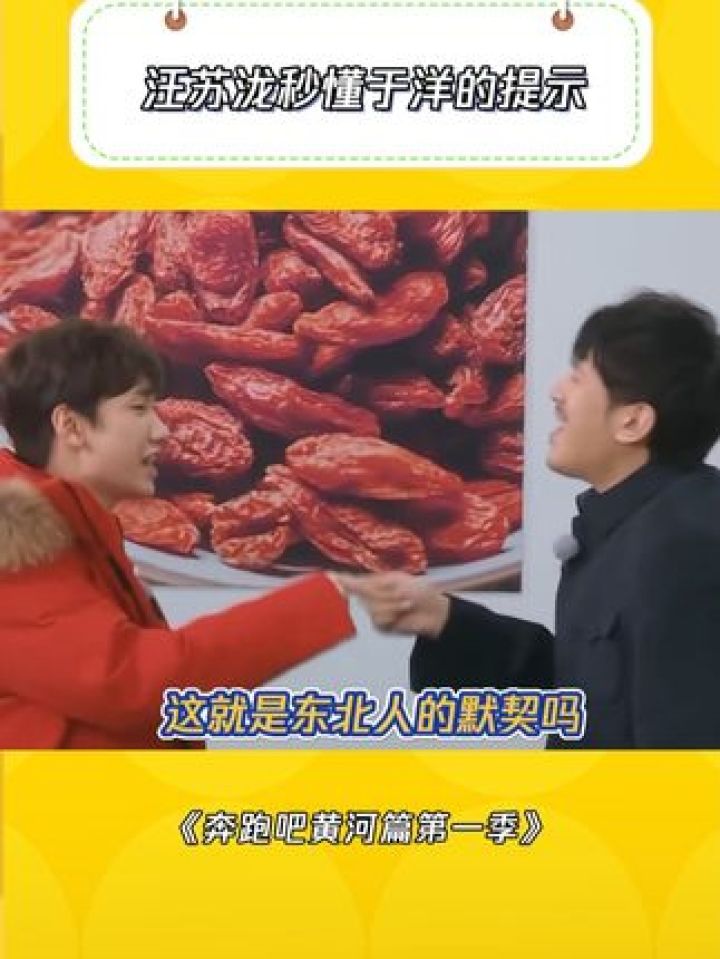 奔跑吧黄河篇第一季 #鹅滴神片 #汪苏泷 #于洋