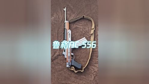 鲁格AC-556步枪，形似Mini-14射手步枪_高清1080P在线观看平台_腾讯视频