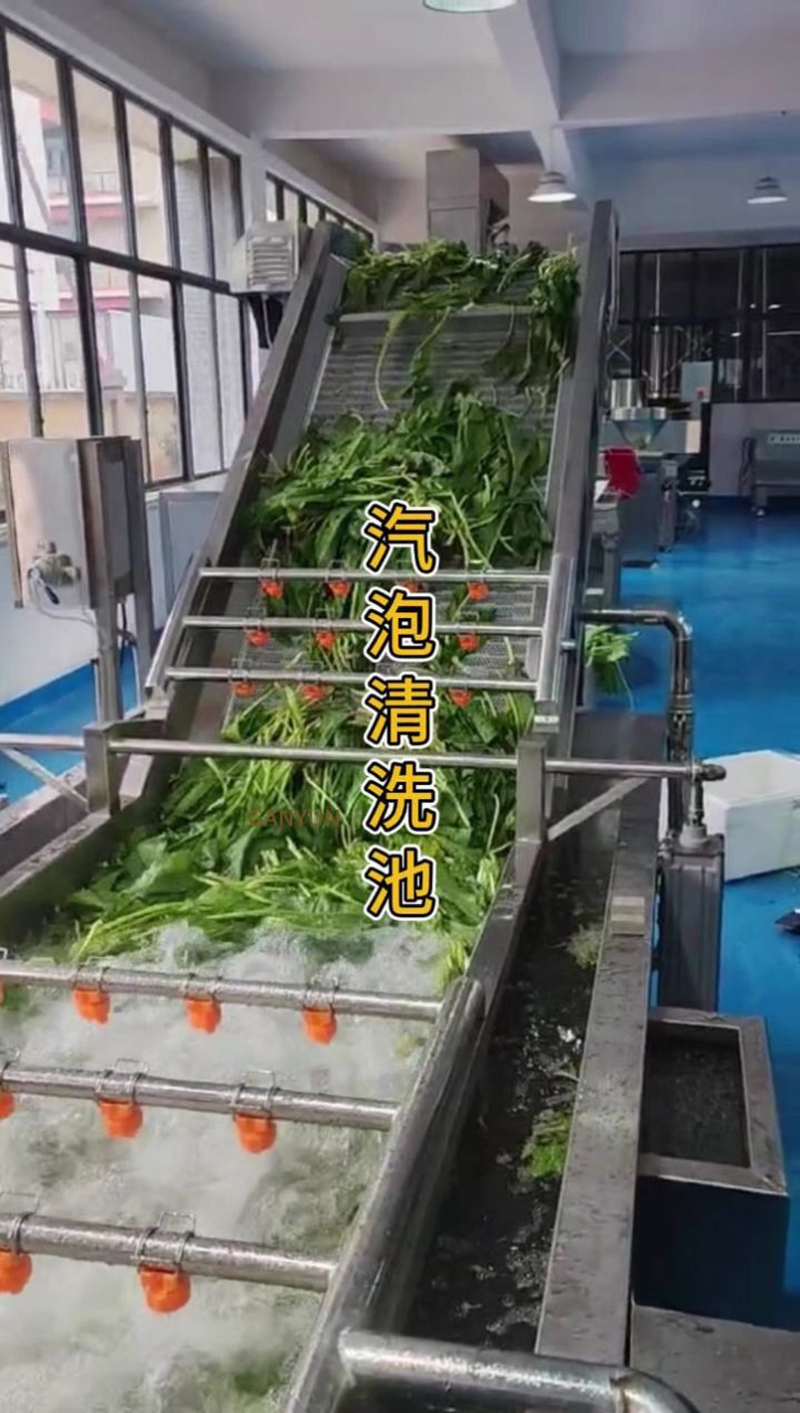 黄棒菜清洗机,汽泡清洗机,果蔬清洗机,清洗蔬菜的机器#土豆清洗机流水