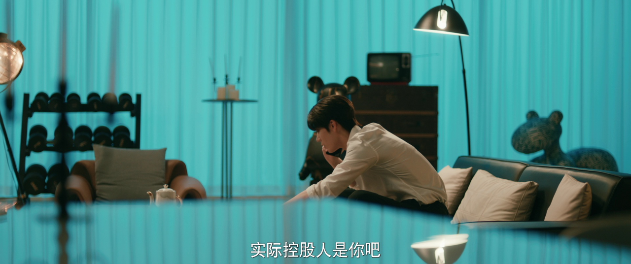 请再和我结婚吧 12集