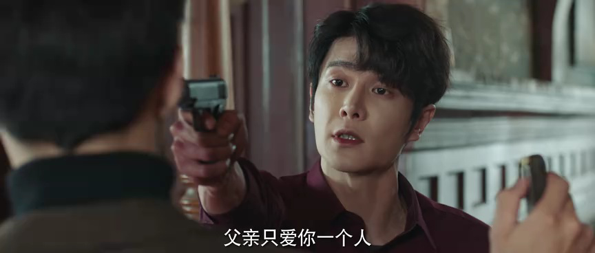 她的伪装 24集