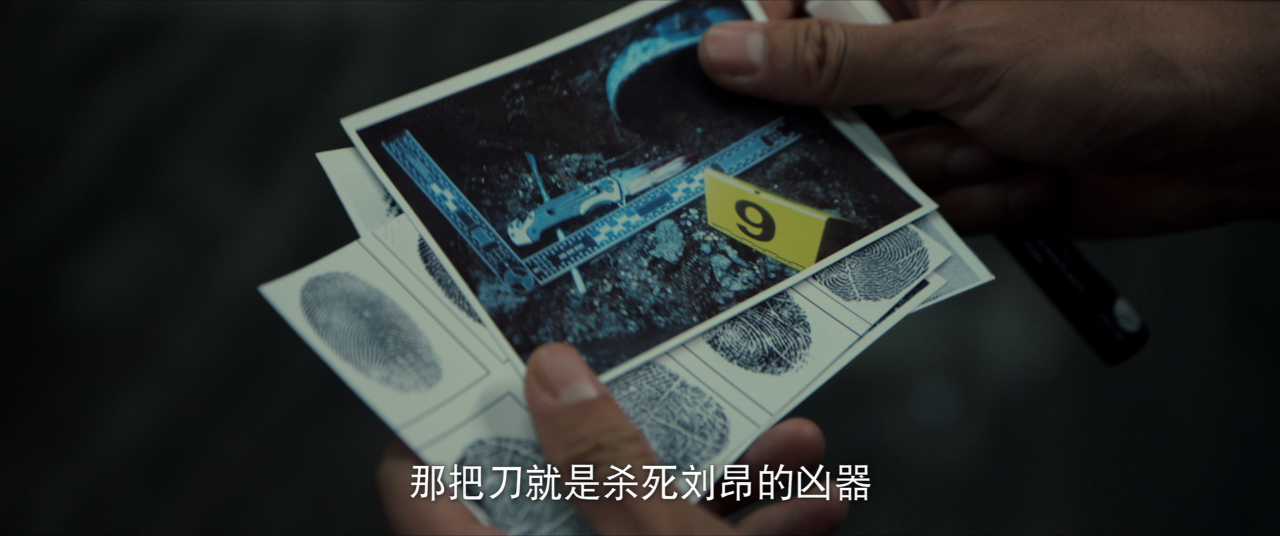 刑侦现场 6集