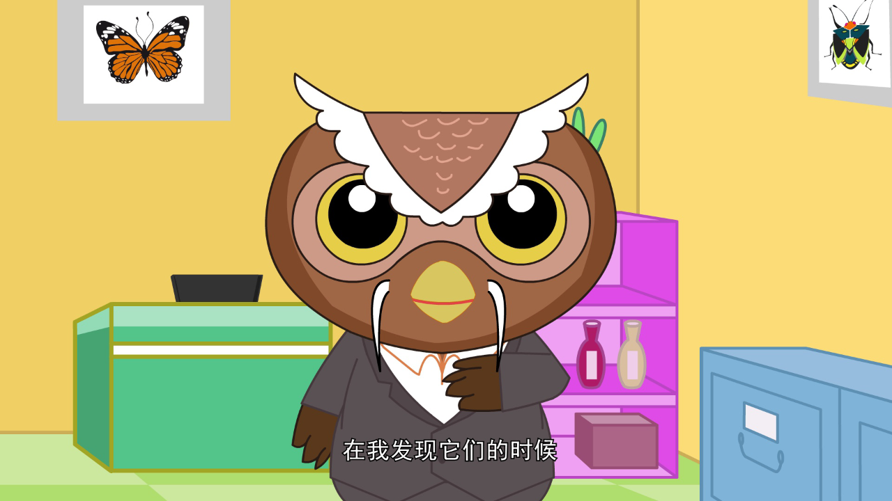 猪多多之十万个为什么（一） 49集