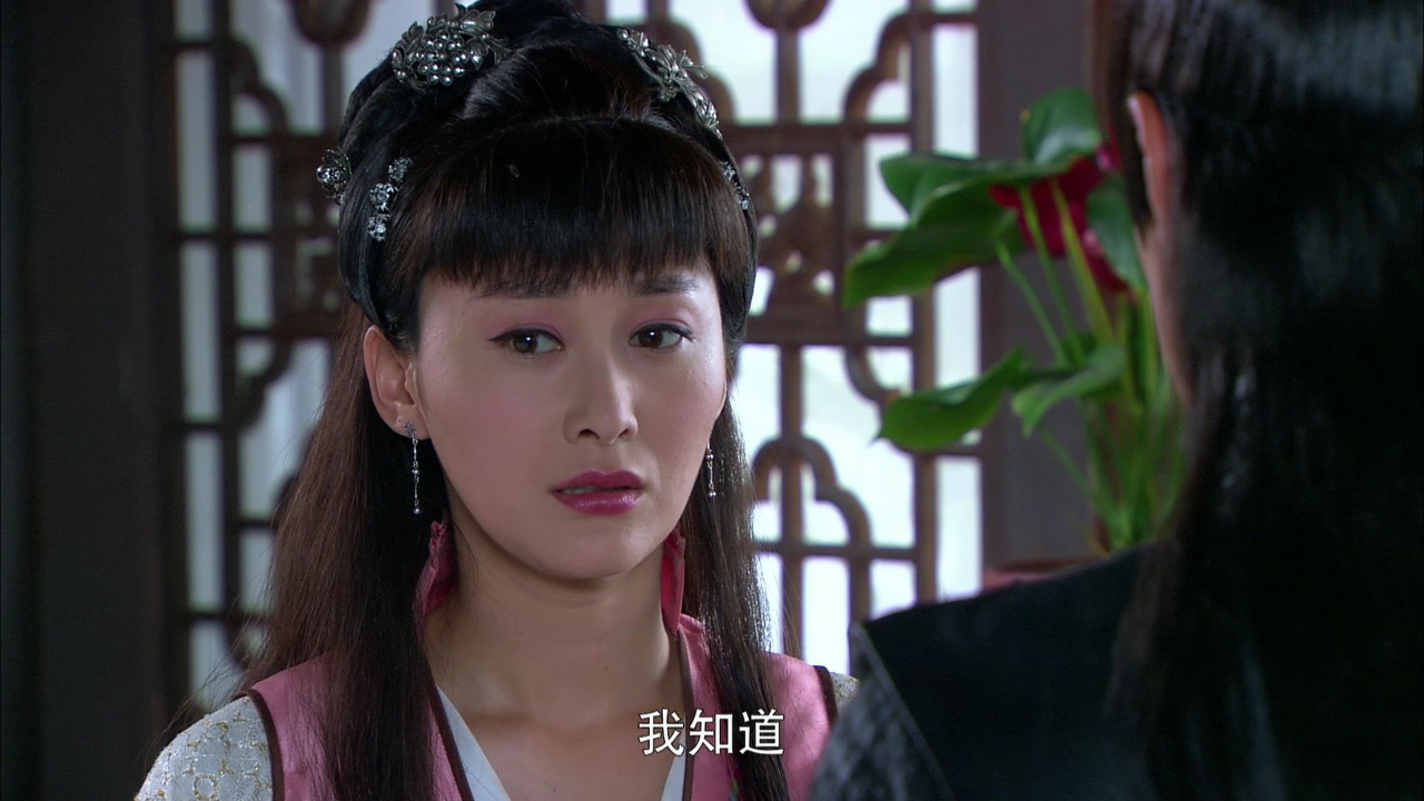 大明抗倭记 30集
