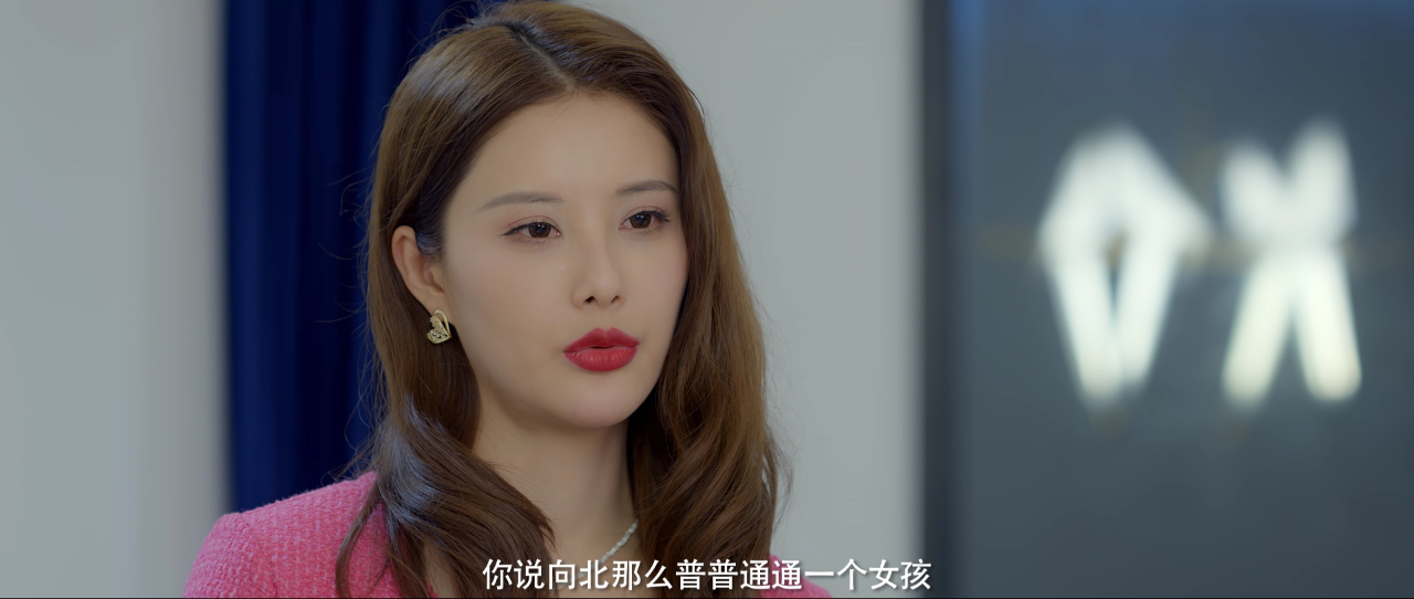 向北的遗憾 3集