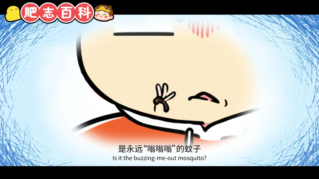 肥志百科第11季 11集