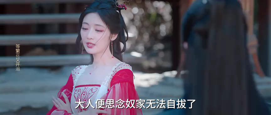 南柯梦 24集