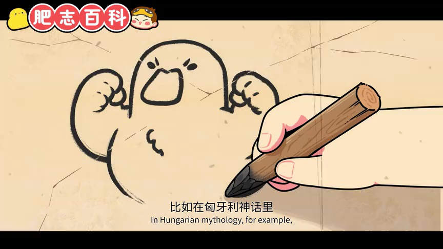 肥志百科第13季 7集