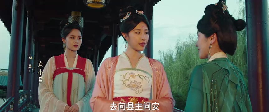 进阶的王妃 8集