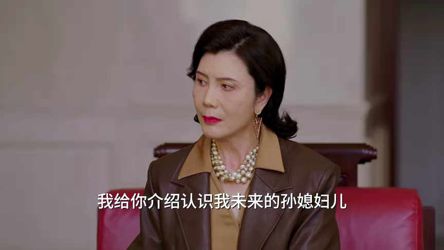 望母成凤 17集