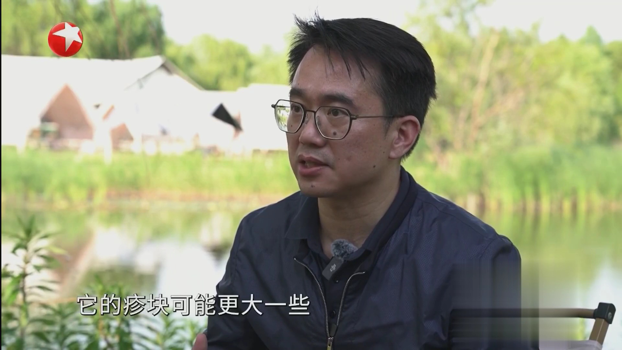虫咬皮炎与普通蚊虫叮咬有什么区别