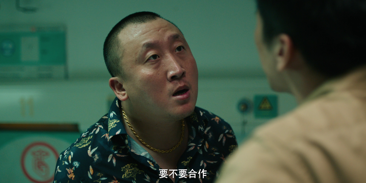 反诈破局 24集