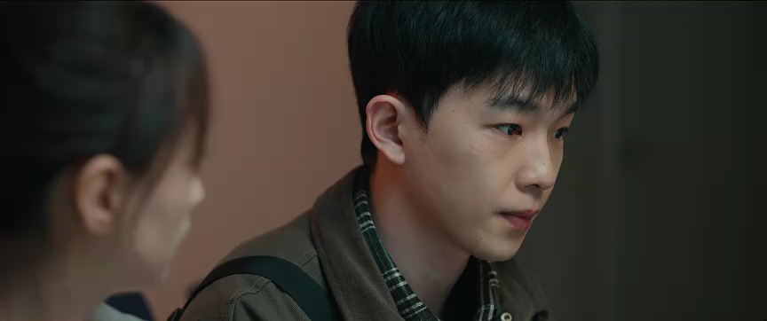 被隐匿的真相精编版 4集
