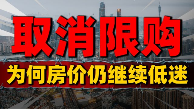 苏州楼市取消限购,为何房价却仍继续低迷