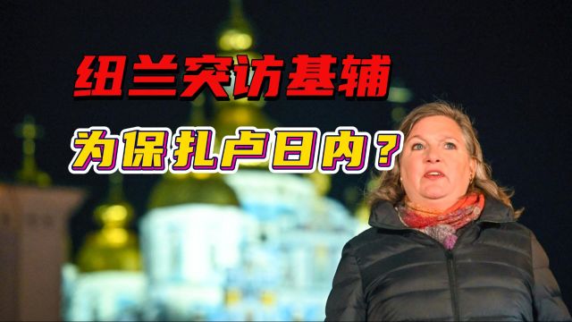 扎卢日内前途未卜,美副国务卿纽兰突访基辅,网友:又来发饼干吗