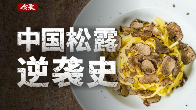 从猪饲料到“黑色钻石”,中国松露的艰难上位史