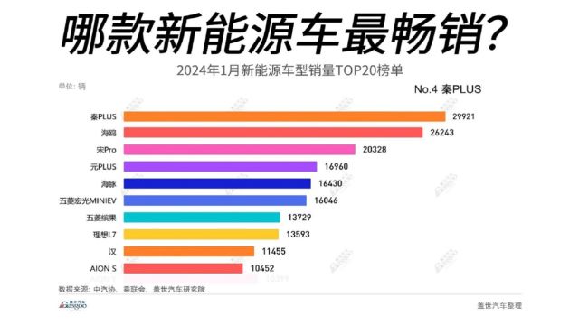 2024年1月新能源车型销量TOP20榜单